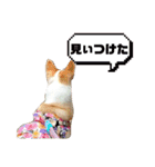 お散歩はむちゃん（個別スタンプ：15）
