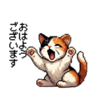 かしこい！三毛猫のスタンプ（個別スタンプ：2）