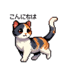 かしこい！三毛猫のスタンプ（個別スタンプ：3）