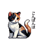 かしこい！三毛猫のスタンプ（個別スタンプ：4）