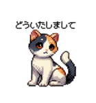 かしこい！三毛猫のスタンプ（個別スタンプ：7）