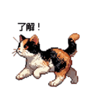 かしこい！三毛猫のスタンプ（個別スタンプ：8）