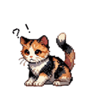 かしこい！三毛猫のスタンプ（個別スタンプ：13）
