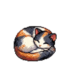 かしこい！三毛猫のスタンプ（個別スタンプ：14）