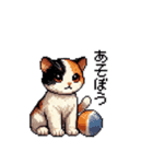 かしこい！三毛猫のスタンプ（個別スタンプ：16）