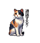 かしこい！三毛猫のスタンプ（個別スタンプ：20）