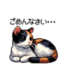 かしこい！三毛猫のスタンプ（個別スタンプ：21）