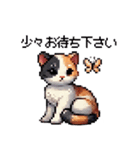 かしこい！三毛猫のスタンプ（個別スタンプ：22）