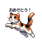 かしこい！三毛猫のスタンプ（個別スタンプ：23）