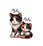 かしこい！三毛猫のスタンプ（個別スタンプ：25）