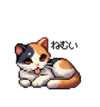 かしこい！三毛猫のスタンプ（個別スタンプ：28）
