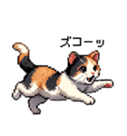 かしこい！三毛猫のスタンプ（個別スタンプ：35）