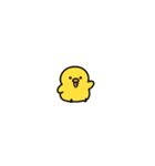 ひよこchickのスタンプ（個別スタンプ：4）