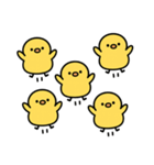 ひよこchickのスタンプ（個別スタンプ：16）