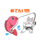 ゆるっと柔術ウルフ 黒帯さんのおめでとう（個別スタンプ：3）