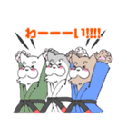 ゆるっと柔術ウルフ 黒帯さんのおめでとう（個別スタンプ：8）