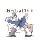 ゆるっと柔術ウルフ 黒帯さんのおめでとう（個別スタンプ：17）
