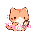 にゃんこライフ Ver6 (ベトナム)（個別スタンプ：10）