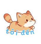 にゃんこライフ Ver6 (ベトナム)（個別スタンプ：14）