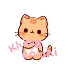 にゃんこライフ Ver6 (ベトナム)（個別スタンプ：20）