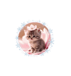 可愛い子猫桜色（個別スタンプ：3）
