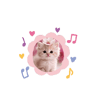 可愛い子猫桜色（個別スタンプ：5）