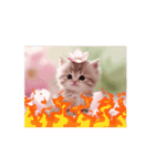 可愛い子猫桜色（個別スタンプ：8）