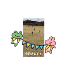 イタグレとミニピンNo.1（個別スタンプ：1）