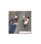 イタグレとミニピンNo.1（個別スタンプ：5）
