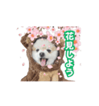 マメすけ 第2弾（個別スタンプ：1）