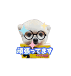 マメすけ 第2弾（個別スタンプ：3）