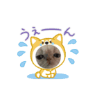 おしゃべり大好きいぬねこファミリー（個別スタンプ：2）