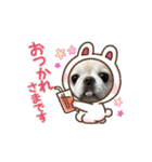 おしゃべり大好きいぬねこファミリー（個別スタンプ：4）