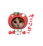 おしゃべり大好きいぬねこファミリー（個別スタンプ：10）