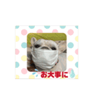 おしゃべり大好きいぬねこファミリー（個別スタンプ：14）