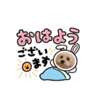 STELLA犬（個別スタンプ：5）