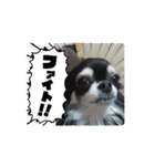 ニカ初心者です（個別スタンプ：4）