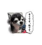 ニカ初心者です（個別スタンプ：10）