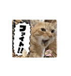 そらくんのスタンプ♡⃝（個別スタンプ：2）