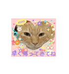 そらくんのスタンプ♡⃝（個別スタンプ：3）