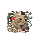 そらくんのスタンプ♡⃝（個別スタンプ：4）