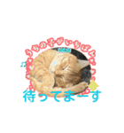 そらくんのスタンプ♡⃝（個別スタンプ：5）