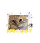 そらくんのスタンプ♡⃝（個別スタンプ：7）
