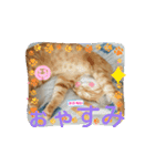 そらくんのスタンプ♡⃝（個別スタンプ：8）