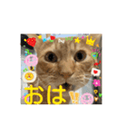 そらくんのスタンプ♡⃝（個別スタンプ：9）