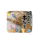 そらくんのスタンプ♡⃝（個別スタンプ：10）