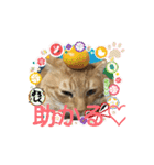 そらくんのスタンプ♡⃝（個別スタンプ：11）