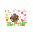 そらくんのスタンプ♡⃝（個別スタンプ：13）