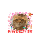 そらくんのスタンプ♡⃝（個別スタンプ：14）