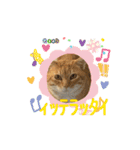 そらくんのスタンプ♡⃝（個別スタンプ：15）